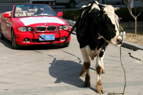 遇到客服说需要本金10倍才能出款大家怎么处理(图)